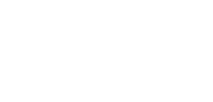 Intrex Project